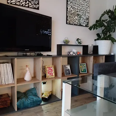 Magical Mirrors Studio Apartment *